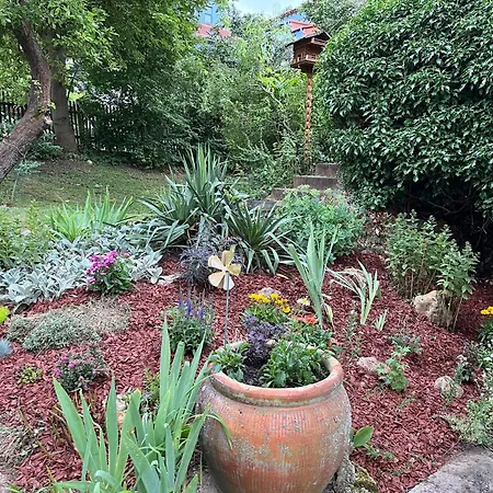 Sonnenberge Apartman